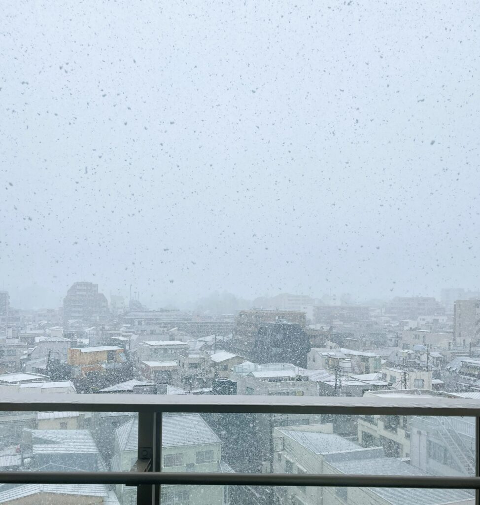 雪は踊っている